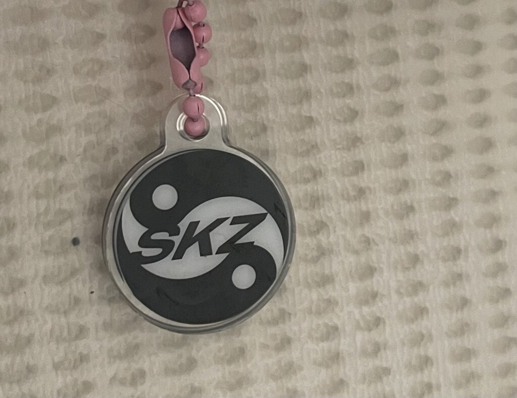 Stray Kids『KARMA』８