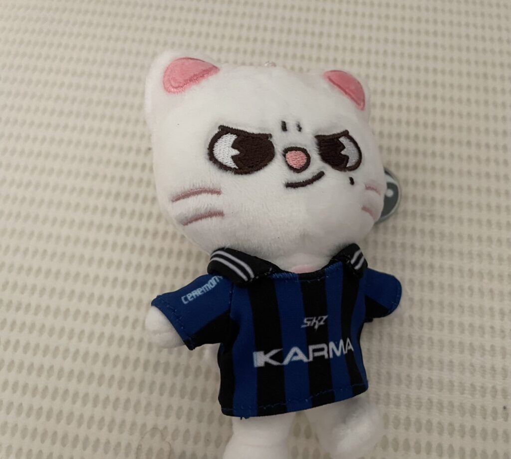 Stray Kids『KARMA』３