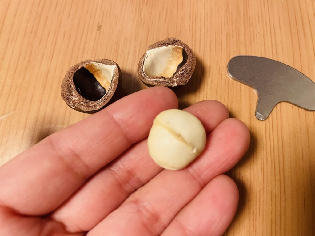 LUPICIA：BonMarche−２０